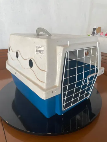 Casinha de cachorro 