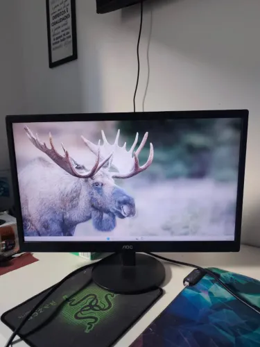 Monitor de 22 polegadas 