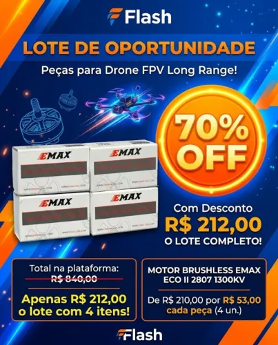 Lote de Oportunidade da Flash - Peças para Drone FPV Long Range!