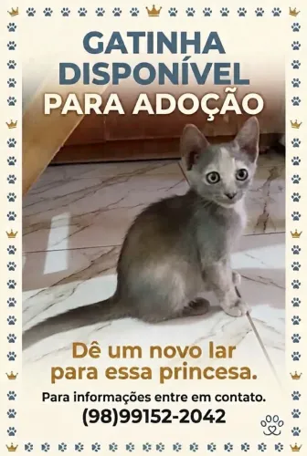 Doação