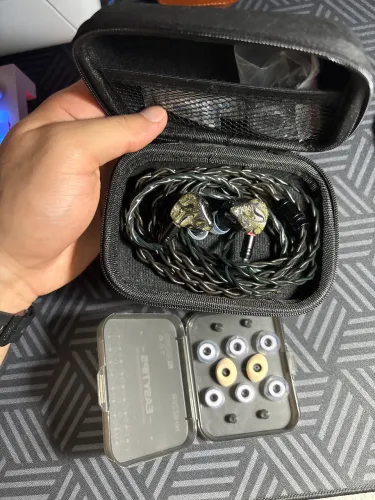 ivipQ Conch V13
