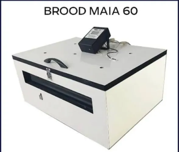 Chocadeira Brood Maia 60 ovos Automática