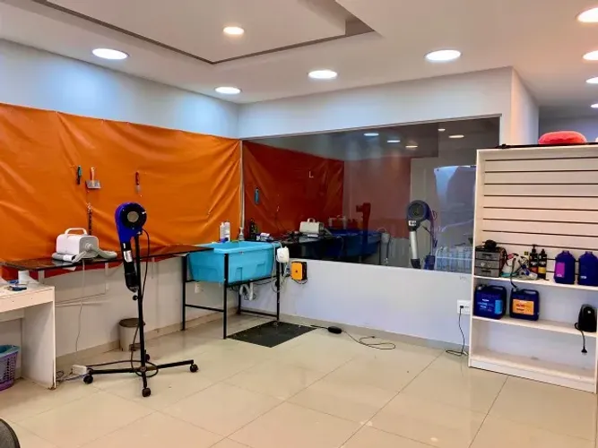 Vendo Banho e Tosa com Lucro comprovado - Vicente Pires