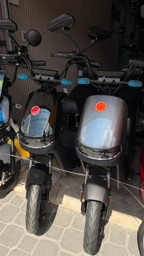 Scooter Foston X15 Max