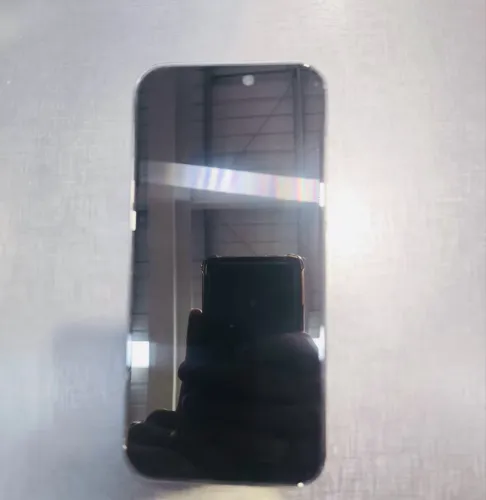 IPhone Pro Max - 256 GB ( Sem marcas uso )
