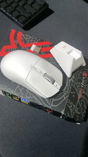 Mouse