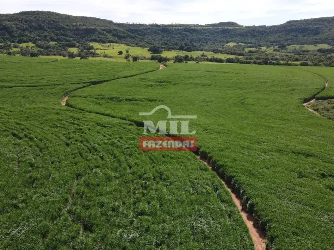 Fazenda 90 Alqueires (440 Hectares ) Prata - MG