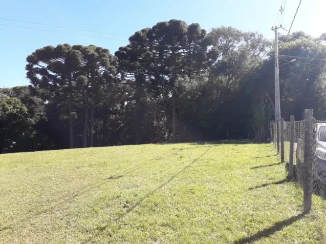 Lote/Terreno bairro Borda do Campo - São José dos Pinhais/PR
