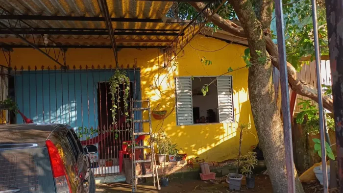 Torrando todas telhas da casa