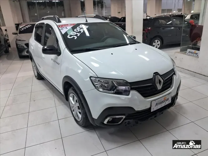 Renault Stepway Zen Flex 1.0 12V Mec. 2024