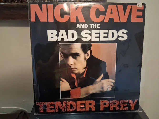 Lp disco de vinil tender prey