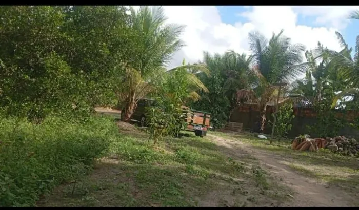 Vendo sítio em são Cristóvão em povoado tinhare.