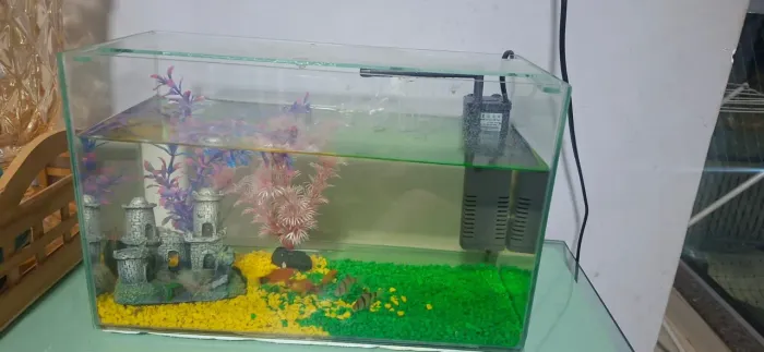 Aquário pequeno completo