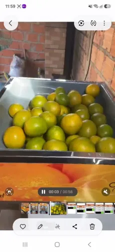 Maquina de Suco de Laranja automatizada