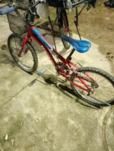 Bicicleta