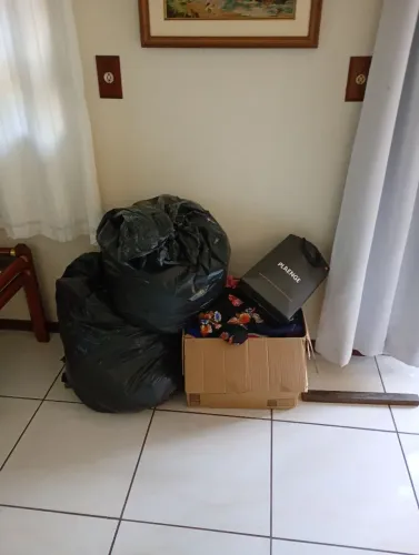 Lote com 81 peças