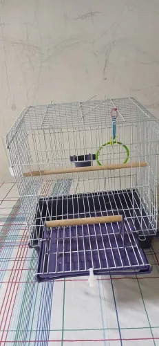 Gaiola para Calopcita com varanda.