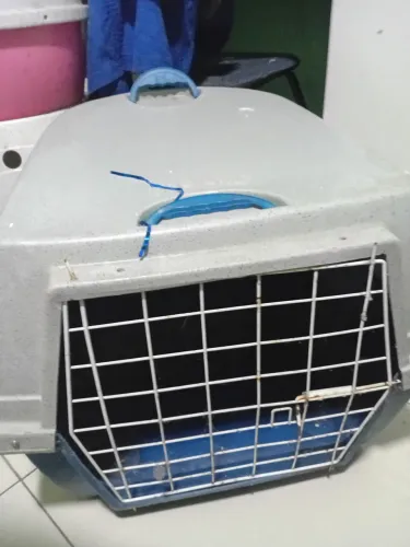 Caixa de transporte de pet