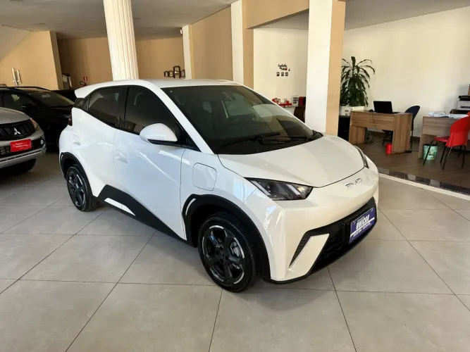 BYD Dolphin EV (Elétrico) 2024