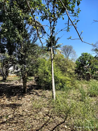 Vendo sítio em Tanguá com 20 mil m², poço artesiano, luz bifasica e muitas frutiferasss