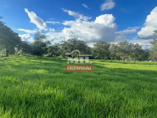 Chácara 2 alqueires (9,68 hectares) Avelinópolis - Go