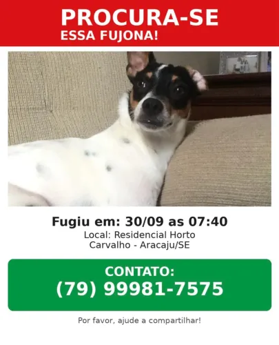 Dasaparecida