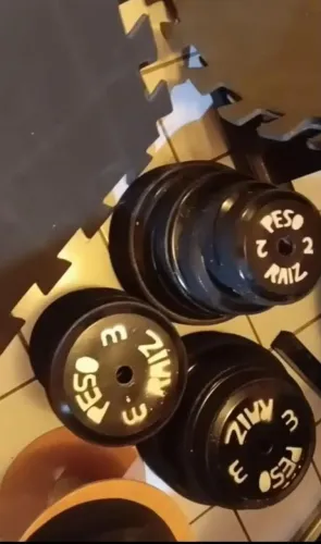 Vendo lote de anilhas Peso Raíz ? Imperdível 