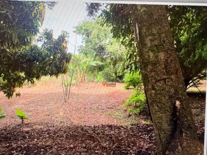 Sítio à venda, 20000 m² por R$ 500.000 - proximo ponte do funil- Limeira/SP