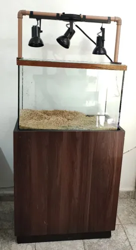 Aquário 60cm com Móvel Gabinete e Iluminação