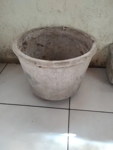 Vaso de plantas 