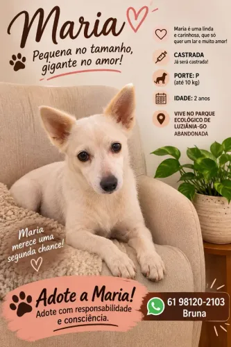 Fêmea abandonada