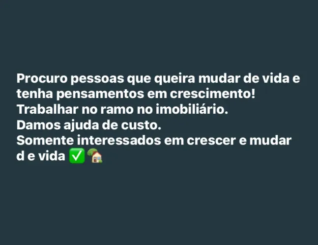 Vendedor