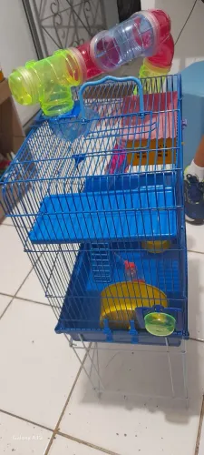 Casa de hamister 3 Andares