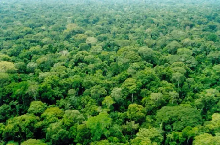 ÁREA DE MATA 1.725ha, exploração minérios, crédito carbono, madeiras e óleo para perfumes