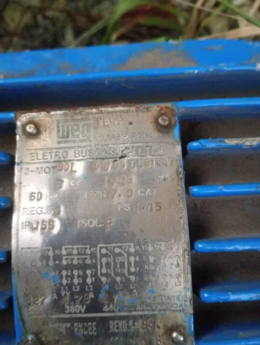 Motor trifásico