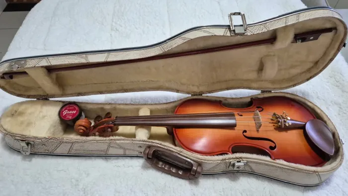 Violino rolim sombreado em excelente estado de conservação (ANO 2011)