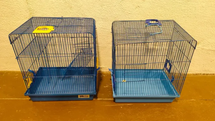 Gaiola/casa hamster com todos os acessórios