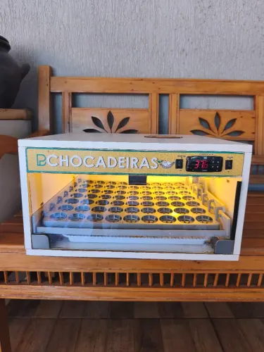 Vendo chocadeira 63 ovos, rolagem automática e ovoscopia