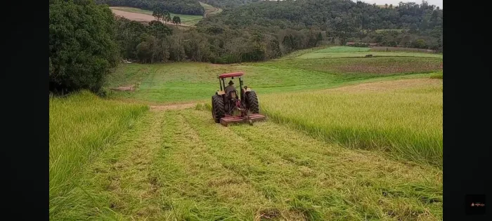 Serviço de roçagem mecanizada com trator, limpeza de terreno