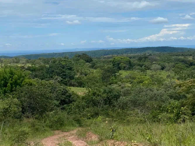 Fazenda 48 hectares