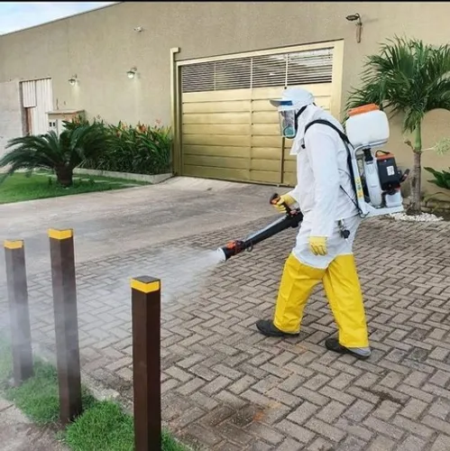 Problemas com Ratos e Baratas ?