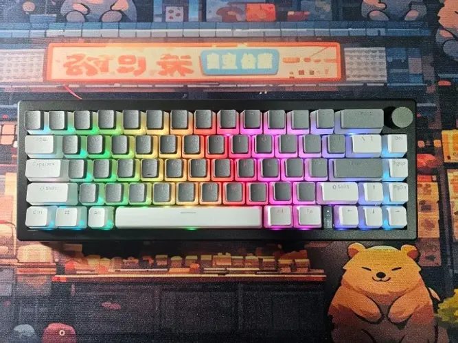 Teclado Mêcanico Rgb Custom Zuoya Gmk67 NOVO
