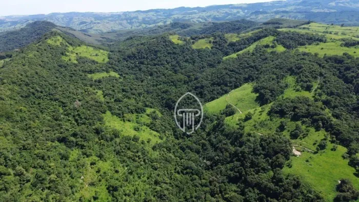 FAZENDA À VENDA EM FAXINAL PR