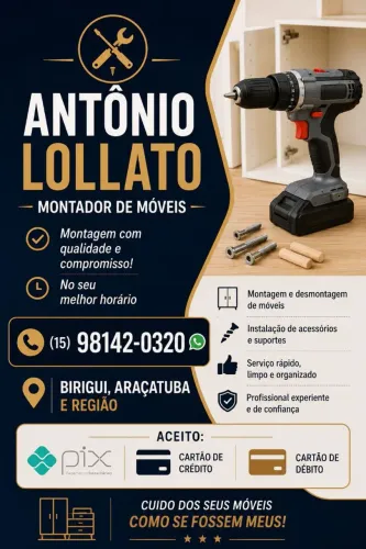 MONTADOR DE MÓVEIS, ENCANADOR E FRETE
