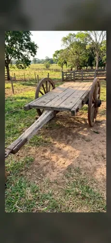 Carroção de boi antigo
