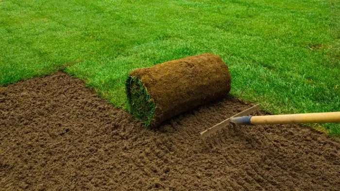 PLANTIO DE GRAMAS
