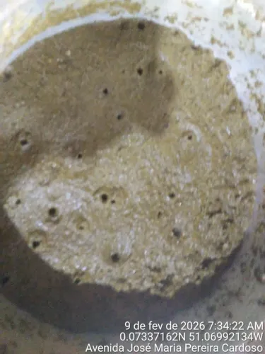 Maniçóba pronta para comer .