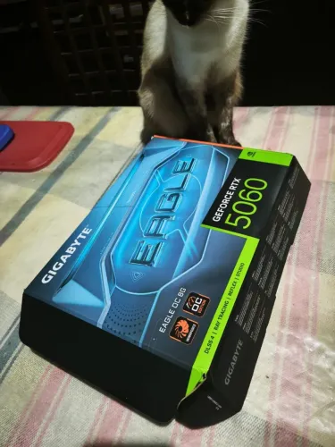 PLACA DE VIDEO RTX 5060 GIGABYTE EAGLE