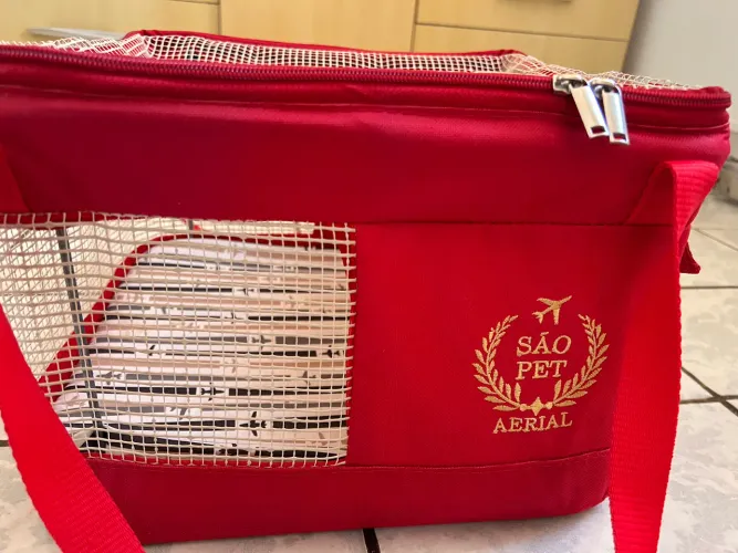 Bolsa Transporte Aéreo Pet Para todas as Linhas Aéreas