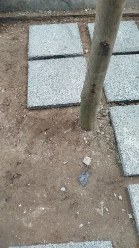 Leo paisagismo é serviços